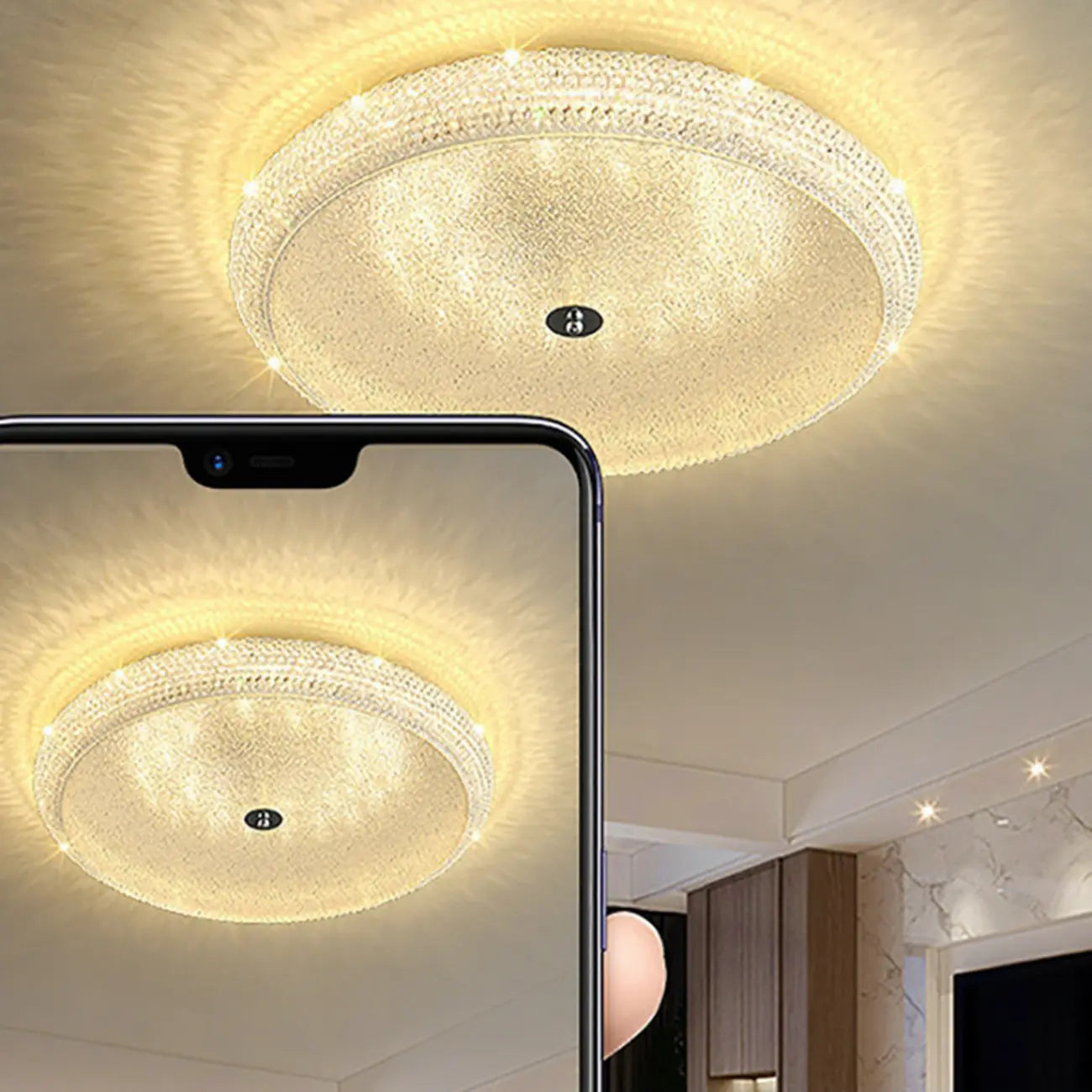 Simple Dimmable Crystal  Flush Ceiling Lamp for Living Room
