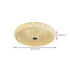 Simple Dimmable Crystal  Flush Ceiling Lamp for Living Room