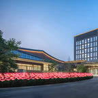 Modern Jellyfish Solar Garden Landscape Lighting