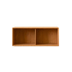 Modern Pine Rectangular Accent Cabinet for Home Display