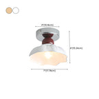 Elegant Resin LED Semi Flush Ceiling Light for Home Decor