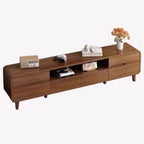 Modern wooden TV cabinet with storage
