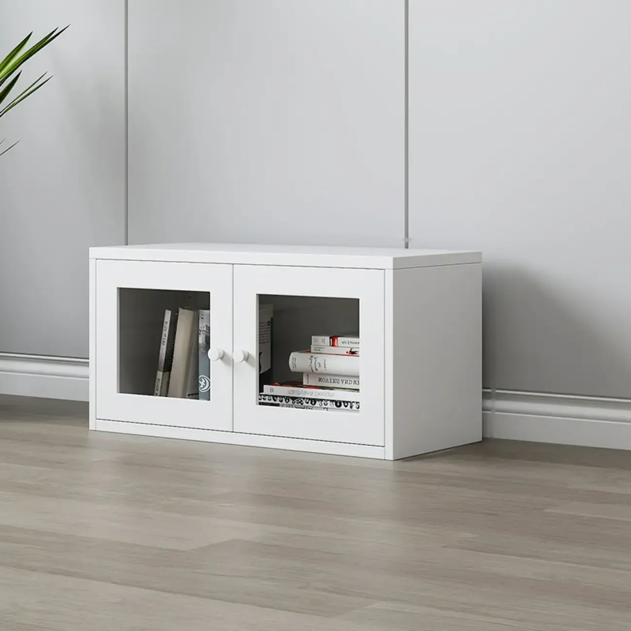 Modern Steel Glass Adjustable Shelves Display Storage Cabinet