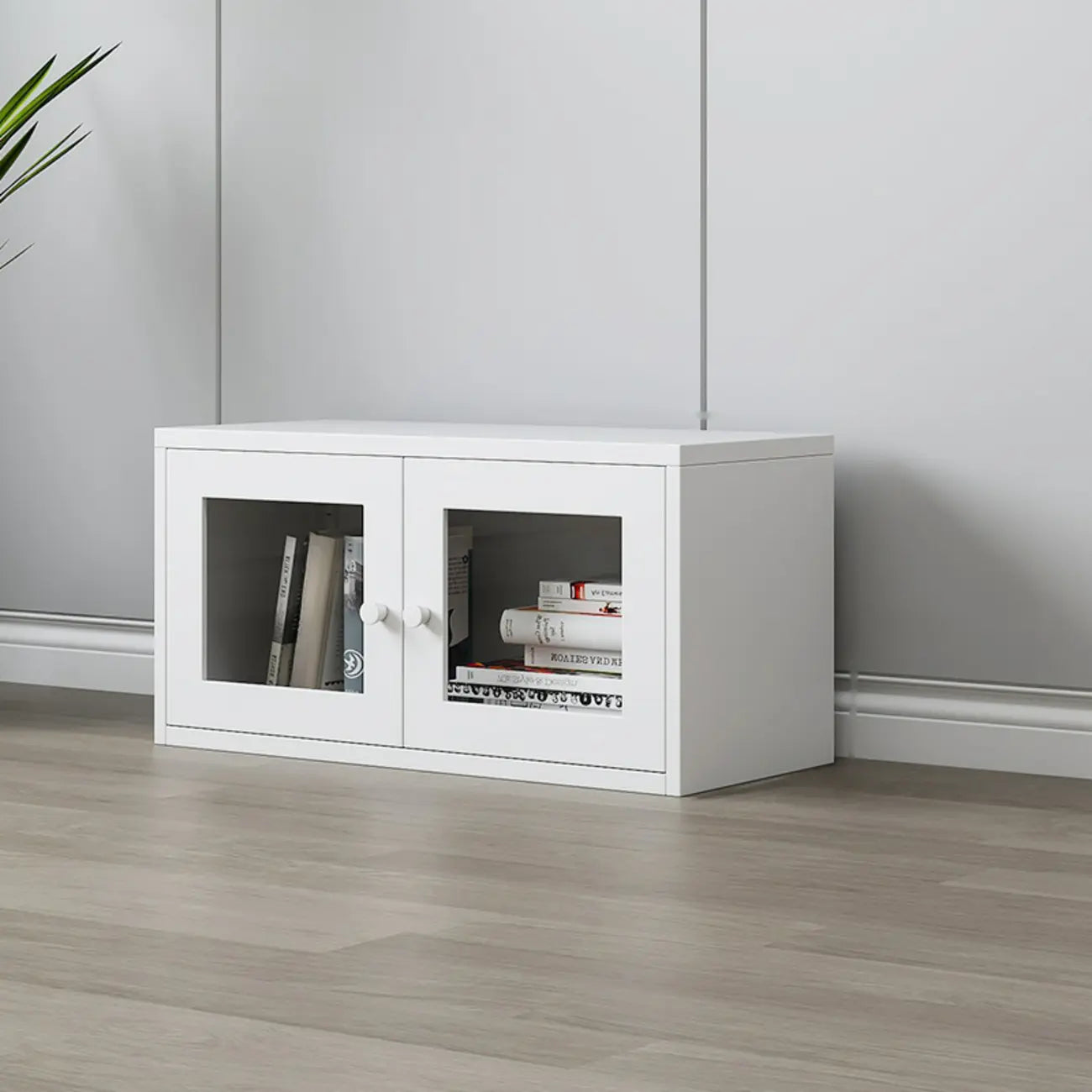 Modern Steel Glass Adjustable Shelves Display Storage Cabinet