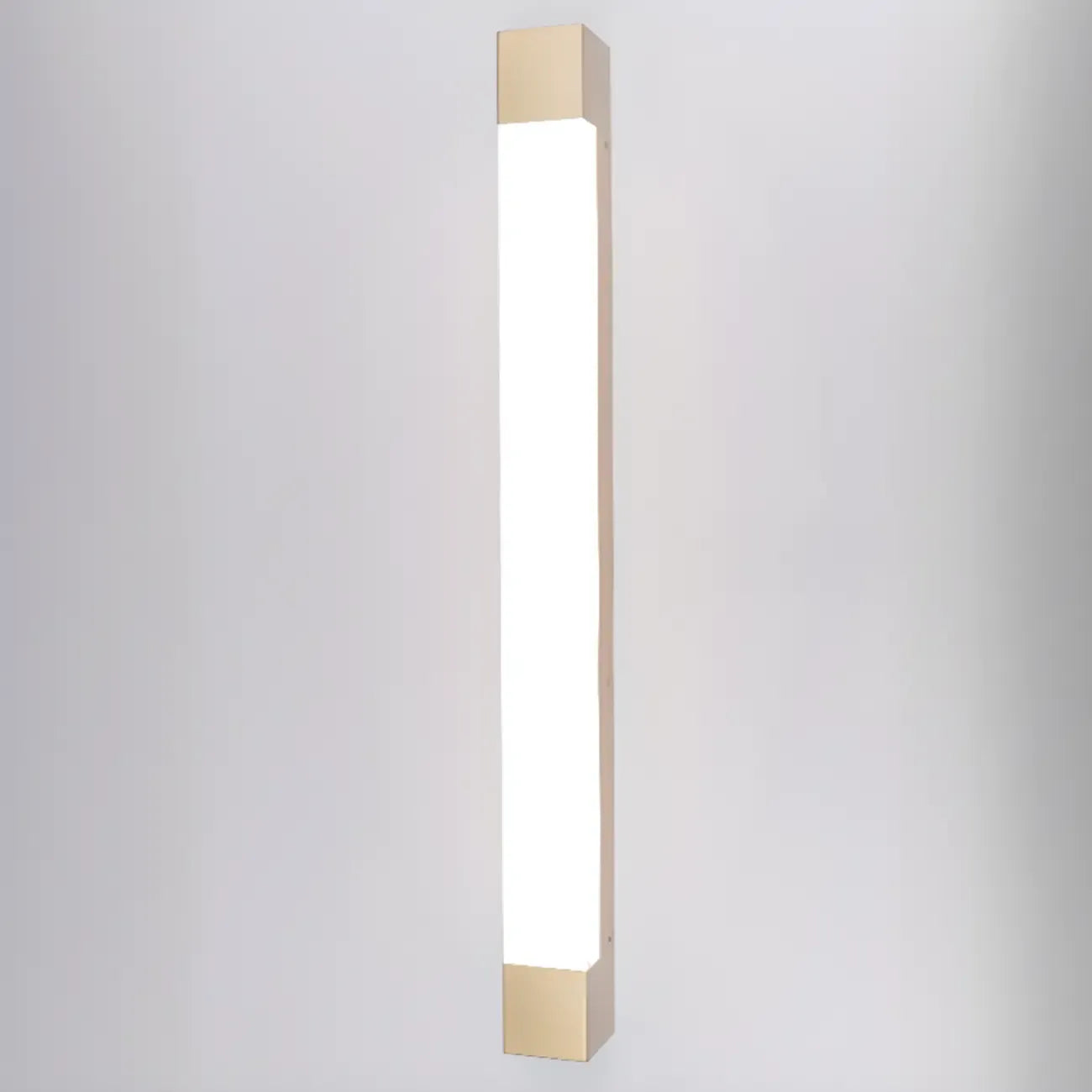 Modern Metal Rectangle Outdoor LED Wall Light