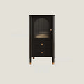 Modern Black Gold Wood Adjustable Shelves Glass Door Cabinet