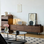 Mid-Century Modern Wood TV Cosole with Storage