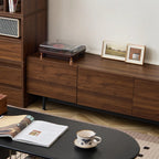 Mid-Century Modern Wood TV Cosole with Storage