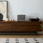 Mid-Century Modern Wood TV Cosole with Storage