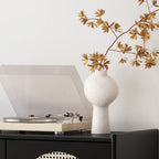 Modern Ink Wood Metal Base Rattan Cabinet for Living Room
