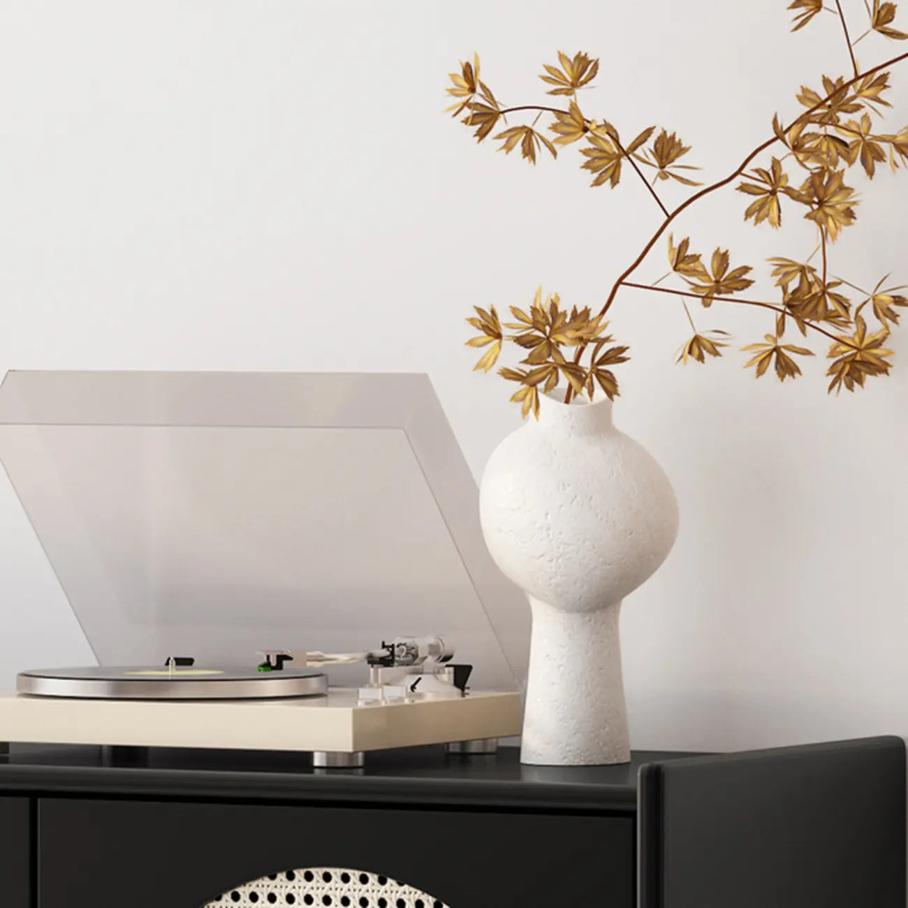 Modern Ink Wood Metal Base Rattan Cabinet for Living Room