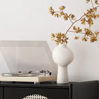 Modern Ink Wood Metal Base Rattan Cabinet for Living Room