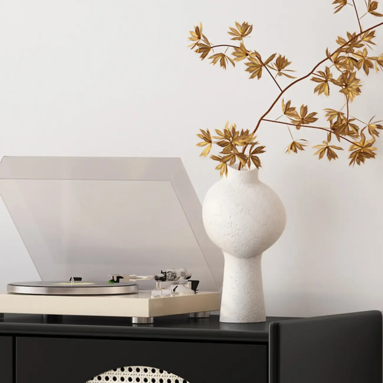 Modern Ink Wood Metal Base Rattan Cabinet for Living Room
