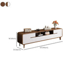 Mid-Century Modern Wood TV Stand with Storage