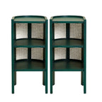 Small Natural Wood Rattan Panels End Table with Storage