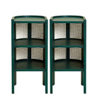 Small Natural Wood Rattan Panels End Table with Storage