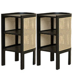 Small Natural Wood Rattan Panels End Table with Storage