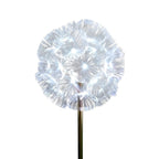 Artistic Modern Fiber Optic Solar Landscape Lighting