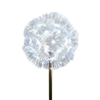 Artistic Modern Fiber Optic Solar Landscape Lighting